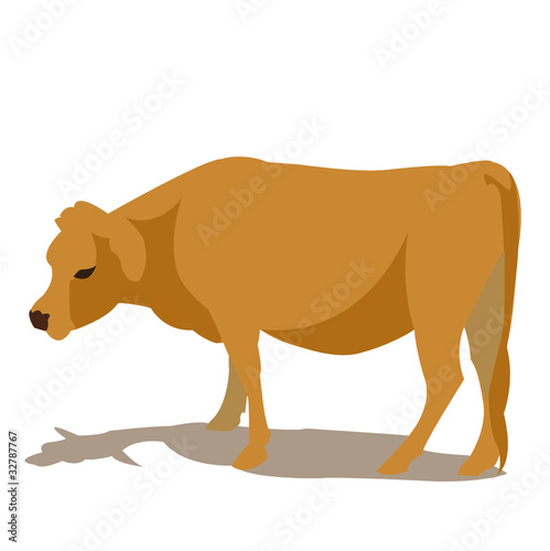 Vector: vaca vaca