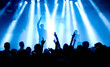 Jubelnde Konzertbesucher auf Rock-Konzert