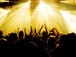 Jubelnde Konzertbesucher auf Rock-Konzert