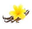 Blüte, Vanille