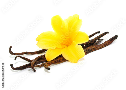 Photo: Blüte, Bourbon Blüte, Bourbon