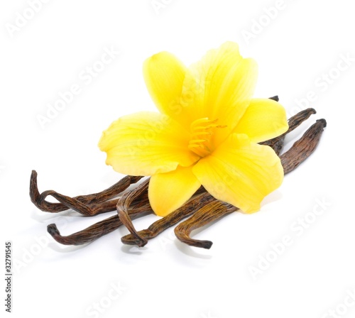 Photo: Blüte, Vanille Blüte, Vanille