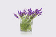 Lavanda su fondo bianco
