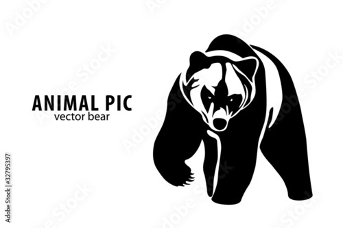 Vektor: vector Bear vector Bear