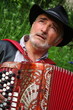 joueur d'accordéon