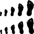 Footprint