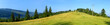 Panoramic view of summer Carpathian mountains, Ukraine