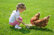 Girl feeding chickens