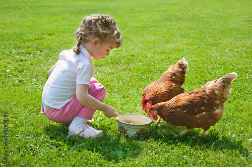Photo: Girl feeding chickens Girl feeding chickens
