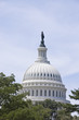 dome of capitol in Washington, USA dome of capitol in Washington, USA