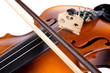 Violin close up