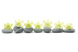 Spa composition of stones and orchid