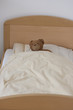 Kinderbett mit Teddy