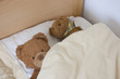 Kuscheltiere
