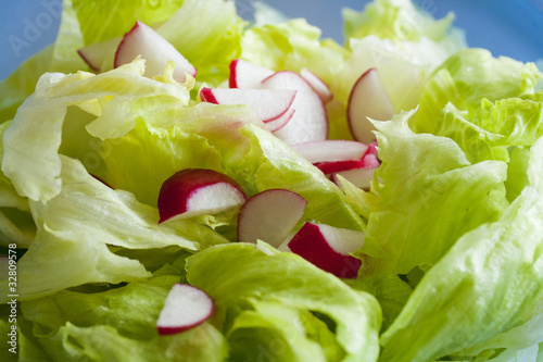 Photo: Blattsalat mi Radieschen Blattsalat mi Radieschen