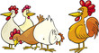 Rooster and hens