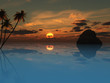 palm beach ocean