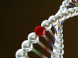 DNA