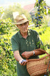 Old man in the garden