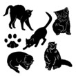 Vector cats collection