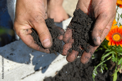 Foto: Black soil Black soil