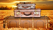 Photo: Traveling suitcases in a wheat field at sunset Traveling suitcases in a wheat field at sunset