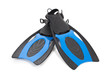 Blue diving fins on a white background Blue diving fins on a white background