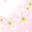 set of pink blossoms on a white background. vector.