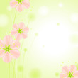set of pink blossoms on a green background 3