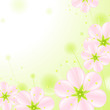 set of pink blossoms on a green background 2.