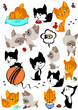 complete set of different cheerful kittens.