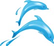 Delfin 2