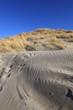 les dunes
