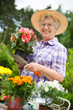 Senior woman with a pot of flowers in her garden