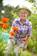 Senior woman in the garden Senior woman in the garden