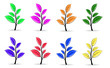 floral elements
