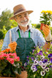 Senior bei Gartenarbeit