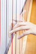 Finger und Saiten