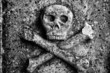 Skull and Cross bones on an old grave Skull and Cross bones on an old grave