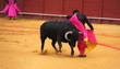 Matador en piste