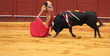 Matador