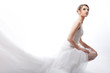 beautiful bride in a luxurious wedding dress beautiful bride in a luxurious wedding dress