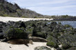 San cristobal island,iles galapagos Ecuador San cristobal island,iles galapagos Ecuador