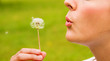 Photo: Young woman blowing a dandelion in springtime Young woman blowing a dandelion in springtime