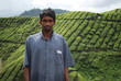Employé de plantation de thé