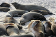 Isla santa fé,islas galapagos Ecuador Isla santa fé,islas galapagos Ecuador