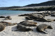 Isla santa fé,islas galapagos Ecuador