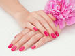 Woman beautiful hands with manicure and pink peony flower