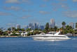 Pleasure Cruiser