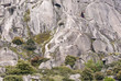 Escaladores ascendiendo el Pico de la Miel, Madrid